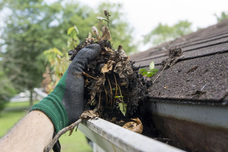 Clogged Gutter Clearing in Annapolis, MD