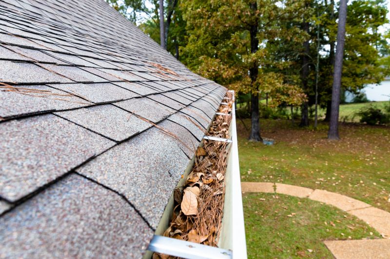 Commercial Gutter Maintenance in Denver, CO