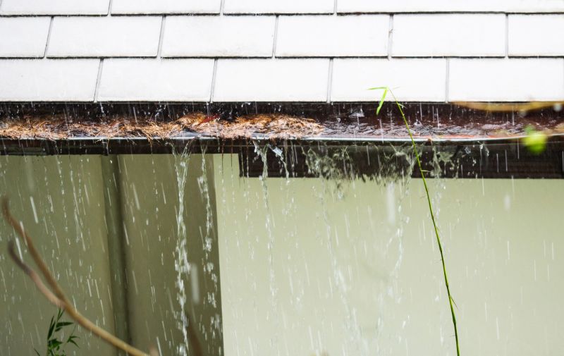 Gutter Blockage Removal in Frederick, MD