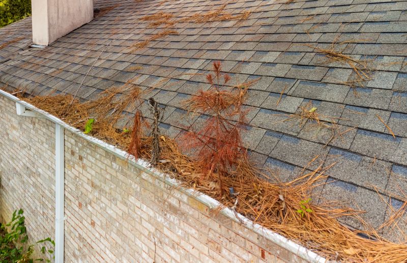 Gutter Pine Needle Removal in Frederick, MD