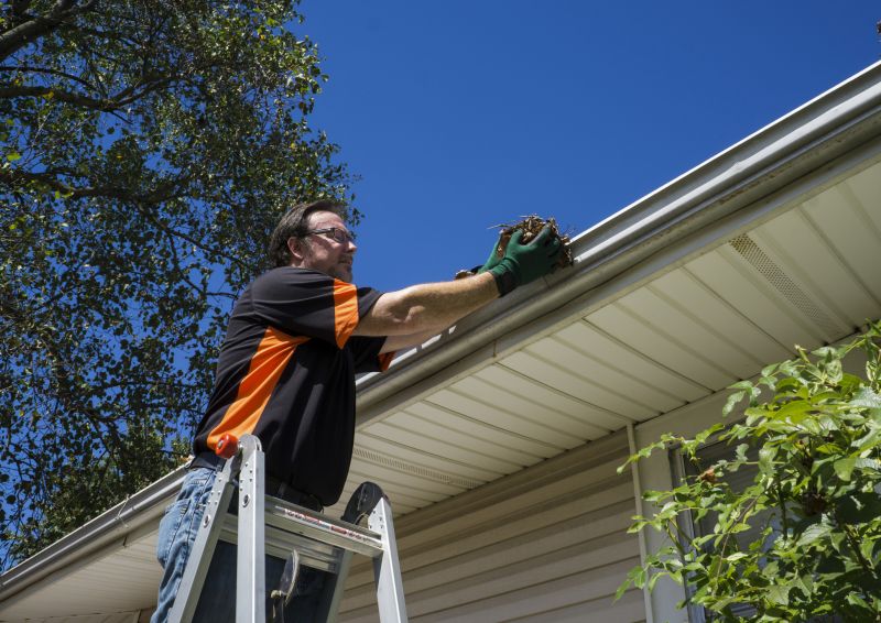 Rain Gutter Clearing in Monmouth County, NJ