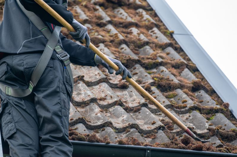 Roof Moss Removal in Vancouver, WA
