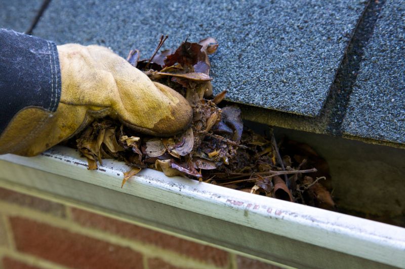 Clogged Gutter Clearing in Arvada, CO