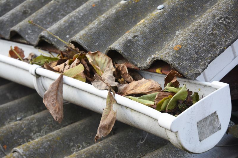 Clogged Gutter Clearing in Arvada, CO