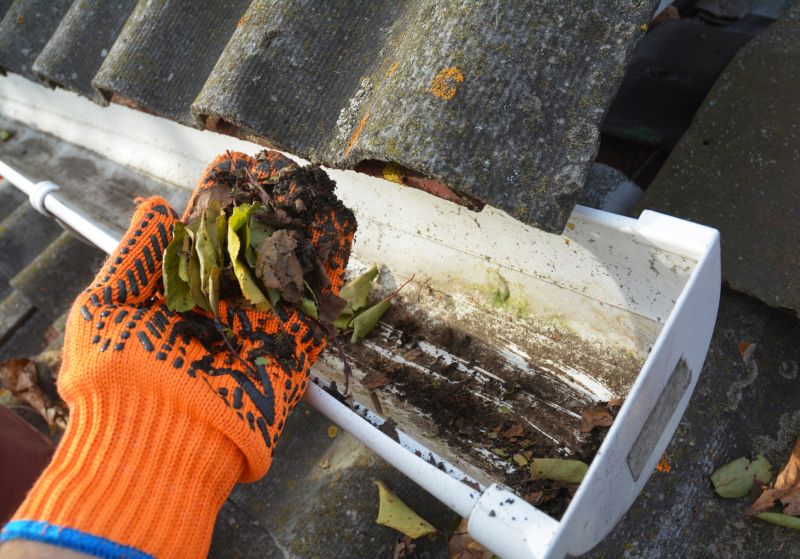 Clogged Gutter Clearing in Frederick, MD