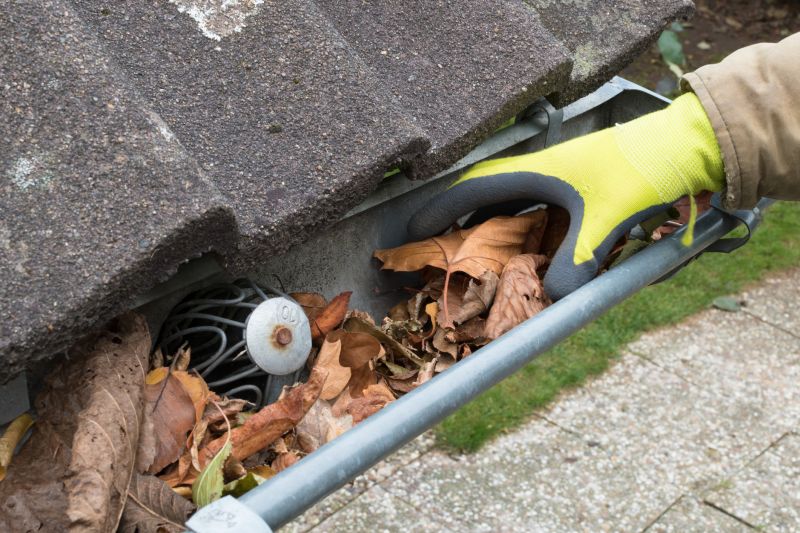 Commercial Gutter Cleaning in Littleton, CO