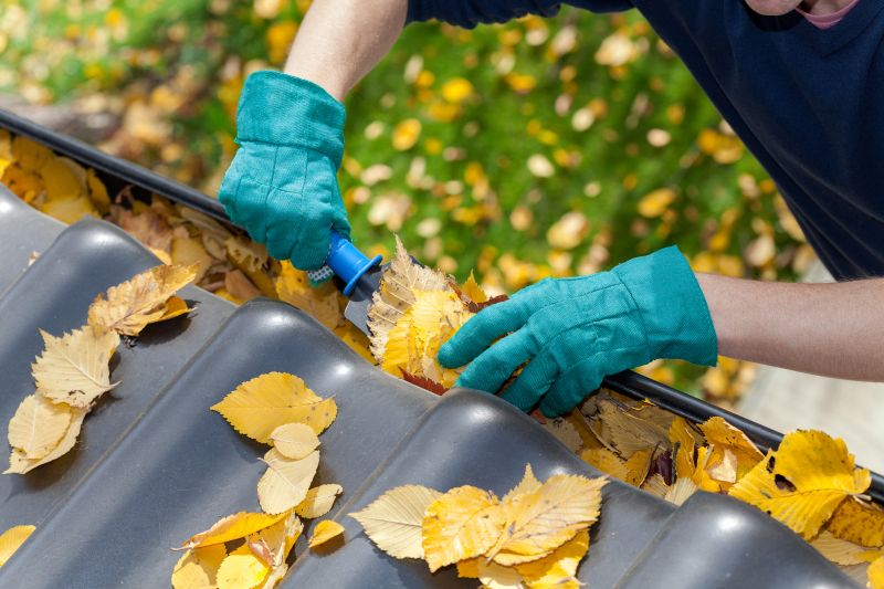 Commercial Gutter Unclogging in Denver County, CO