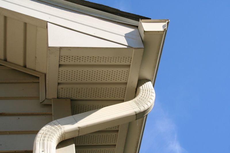 Downspout Snaking in Annapolis, MD