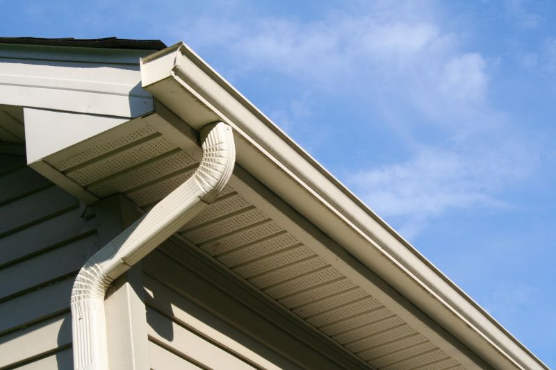 Downspout Snaking in Richmond, VA
