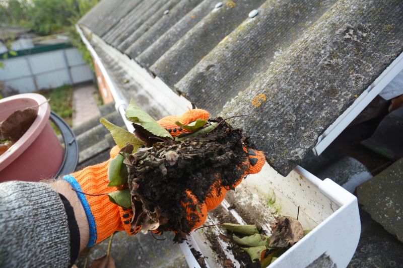 Gutter Cleaning in Annapolis, MD