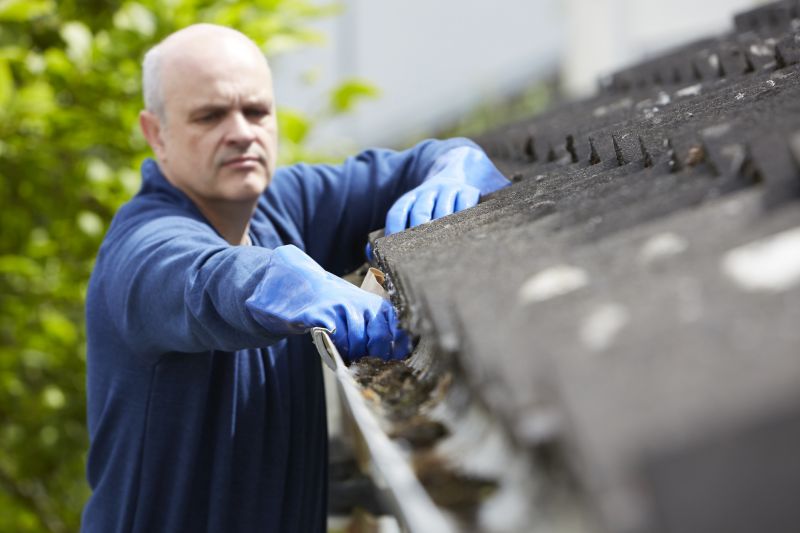 Gutter Cleaning in Fredericksburg, VA