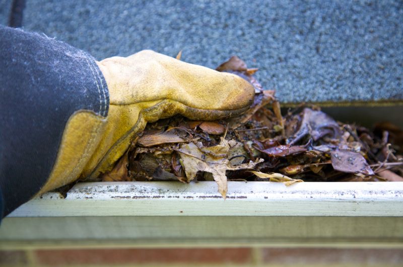 Gutter Cleaning in Frederick, MD