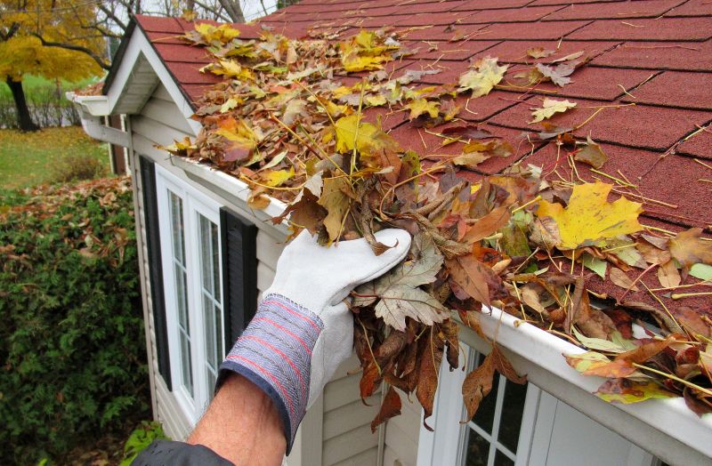 Gutter Leaf Clearing in Arvada, CO