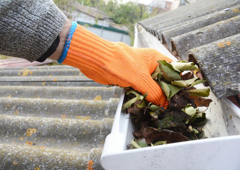 Gutter Leaf Clearing in Arvada, CO
