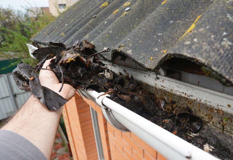 Gutter Leaf Clearing in Long Island, NY