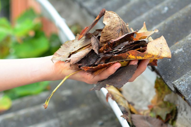 Gutter Leaf Clearing in Long Island, NY