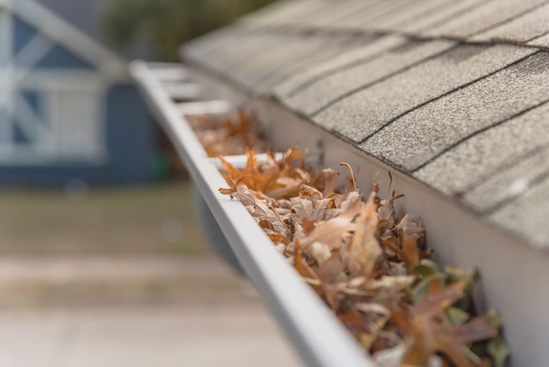 Gutter Leaves Removal in Morris County, NJ
