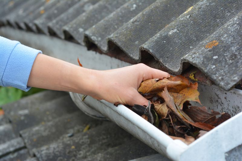 Gutter Leaves Removal in Long Island, NY