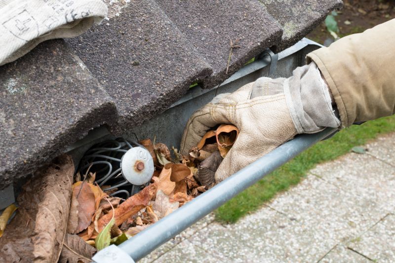 Gutter Leaves Removal in Boulder, CO