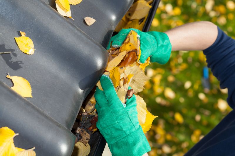Gutter Maintenance in Monmouth County, NJ