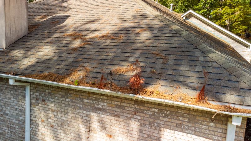 Gutter Pine Needle Removal in Monmouth County, NJ