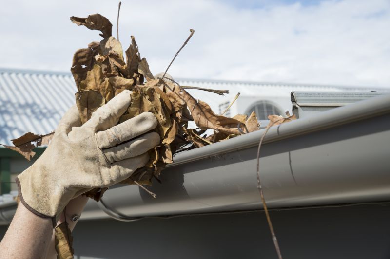 Gutter Pine Needle Removal in Baltimore, MD