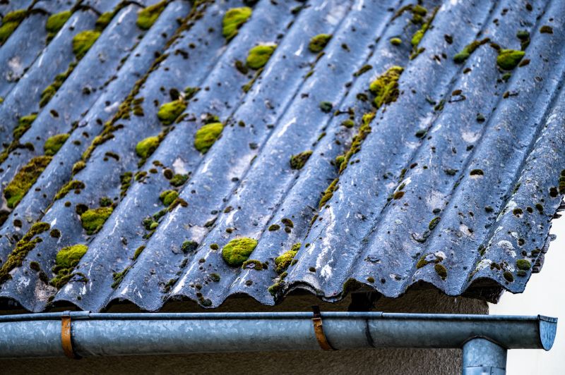 Roof Mildew Cleaning in Vancouver, WA