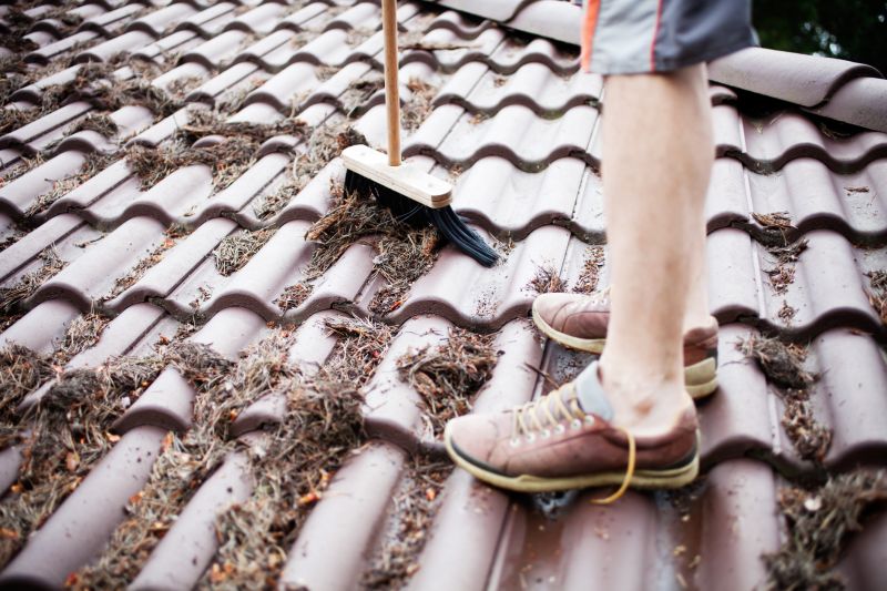 Roof Pine Needles Removal in Vancouver, WA