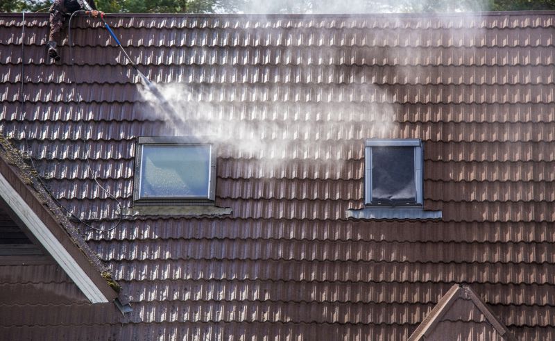 Roof Stain Removal in Vancouver, WA