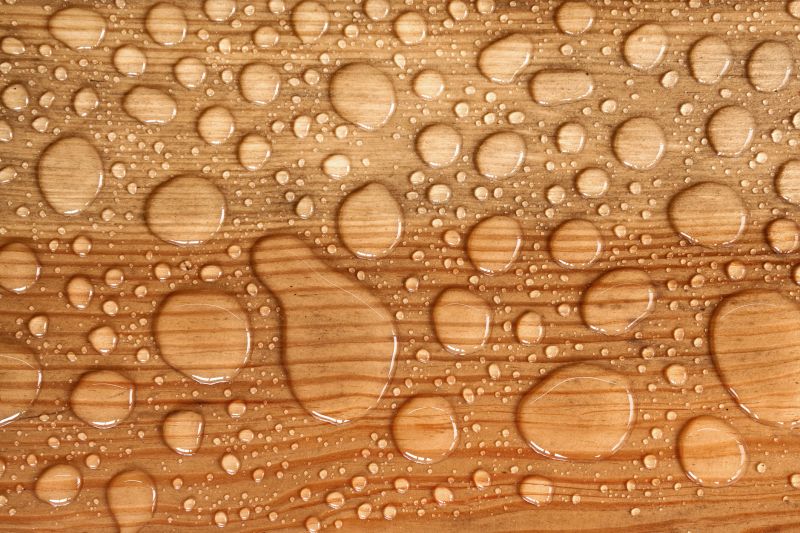 Wood Waterproofing in Tacoma, WA
